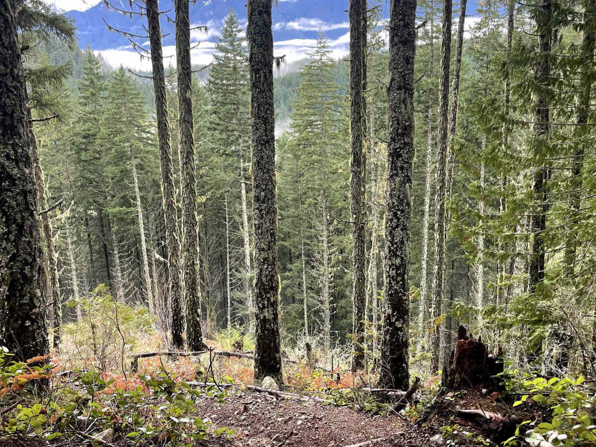 Trials Trail photo 4