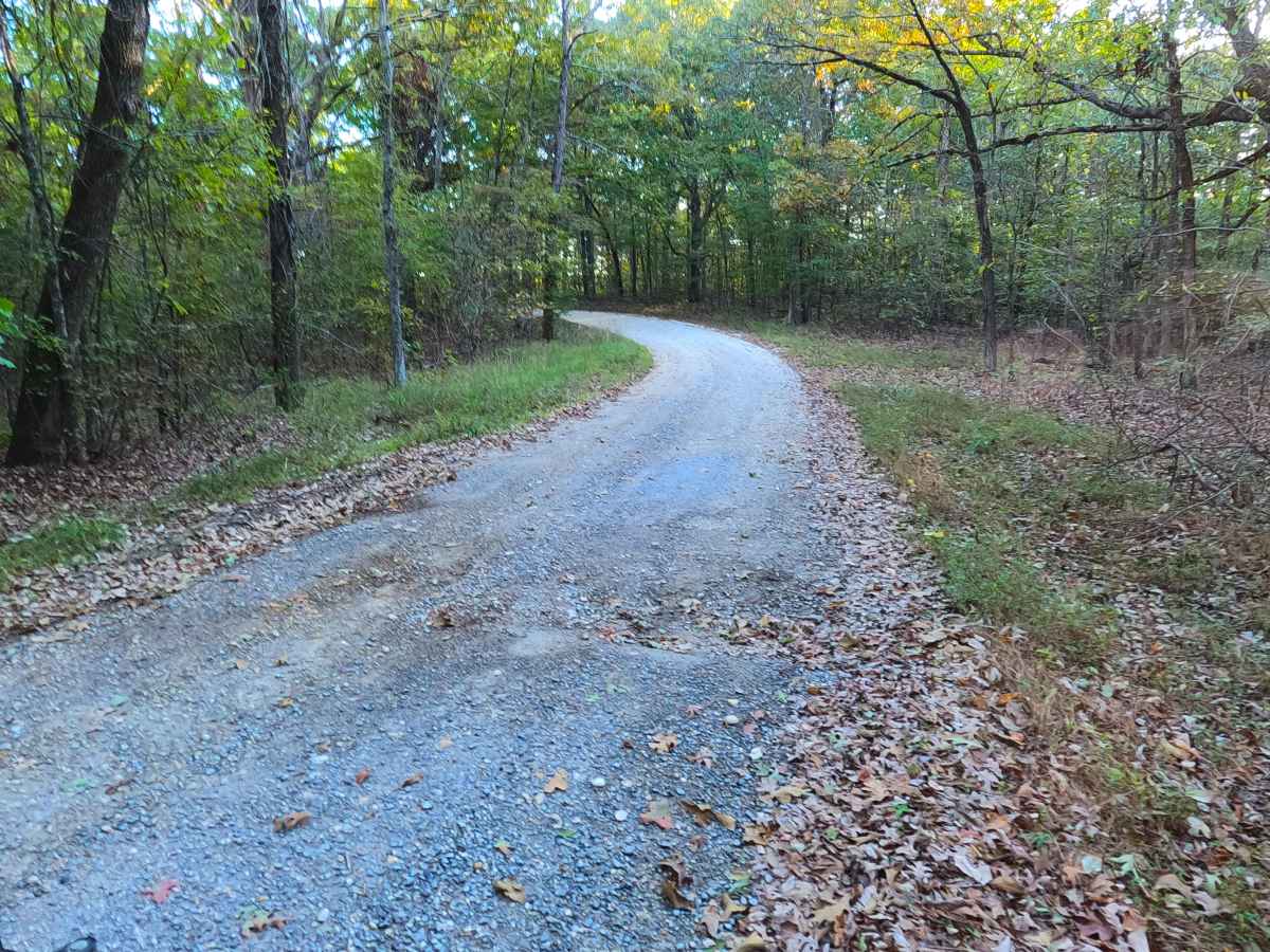 County Line Road - FS 316 photo 5