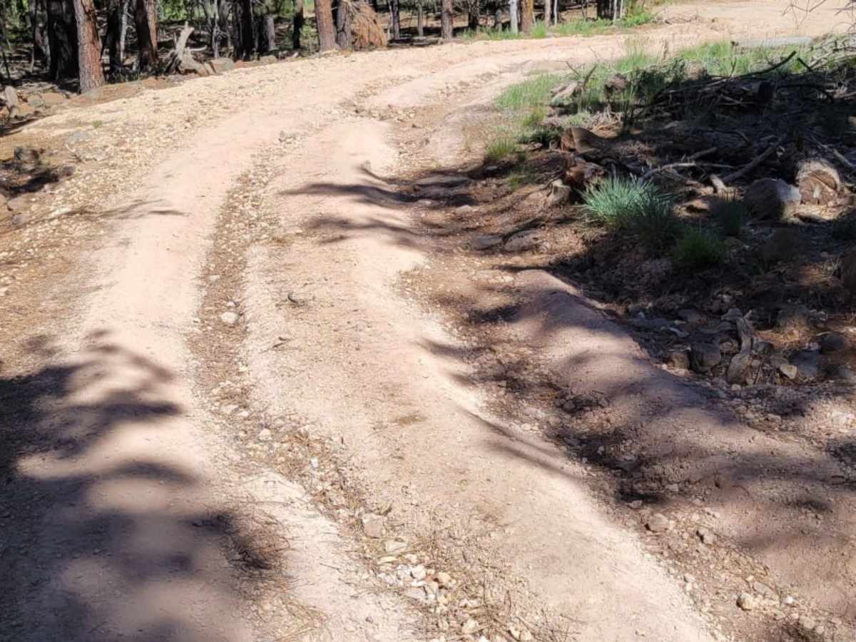 Uinta Loop 2 trail photo