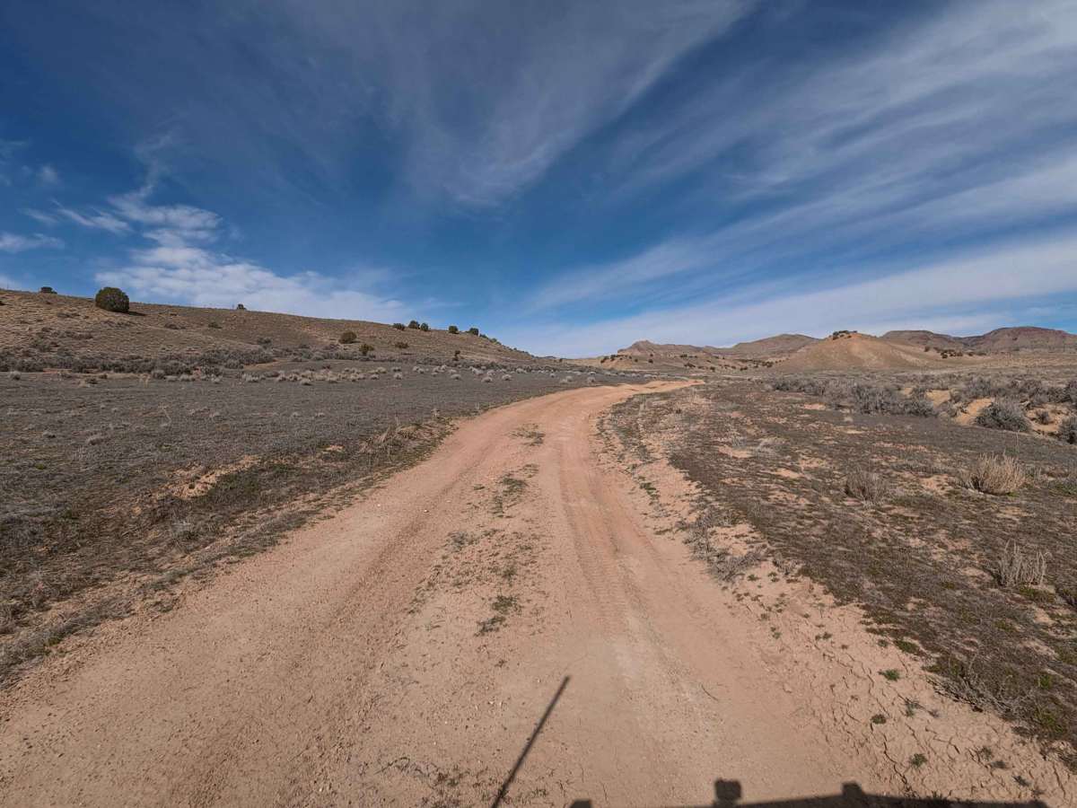 BLM 124 photo 5