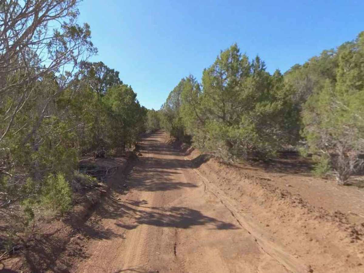 County Road 3469-PST42 photo 6