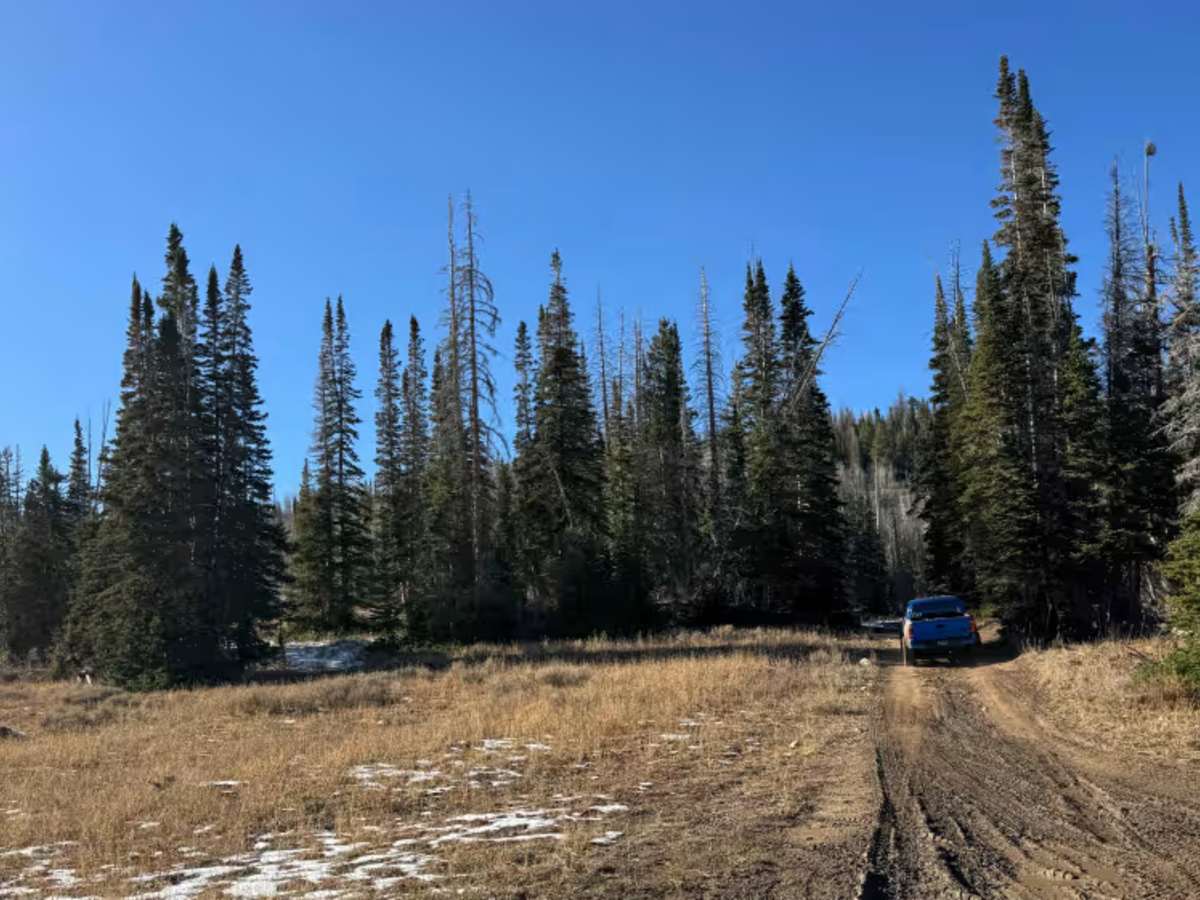 Gold Hill Pass photo 6