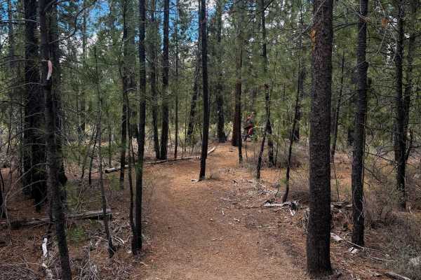 Trail 37 