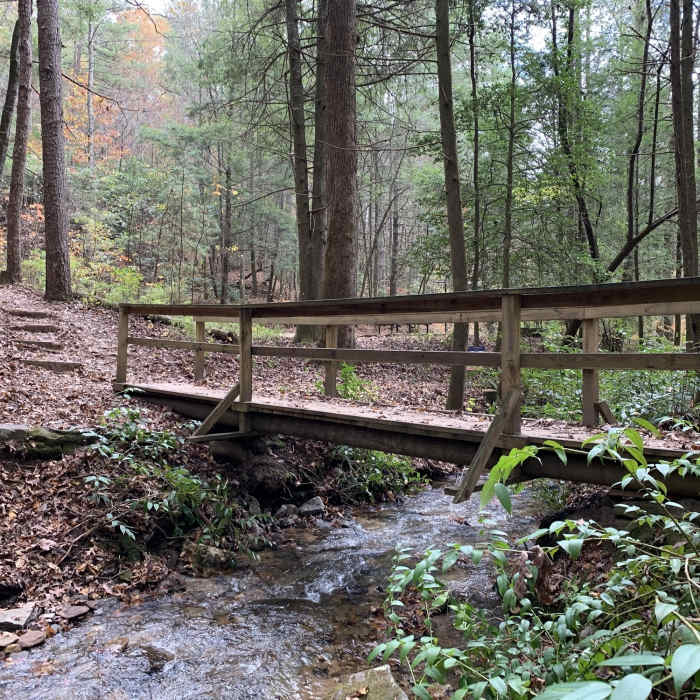 Near Angel Falls Trail #55