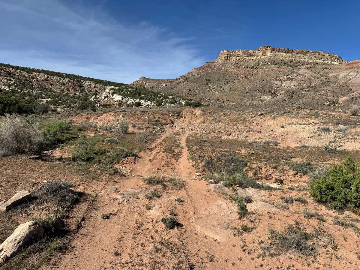 Long Valley Climb photo 3