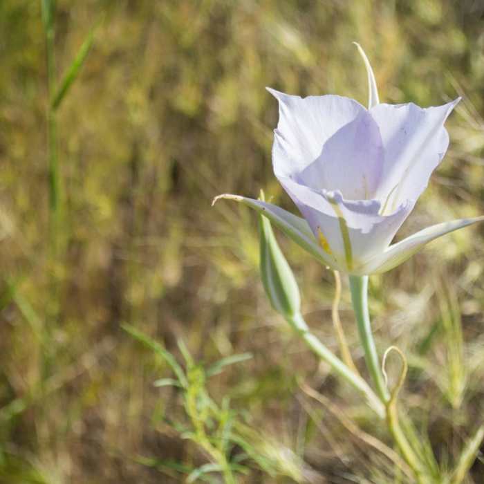 Near Table Rock Out-and-Back