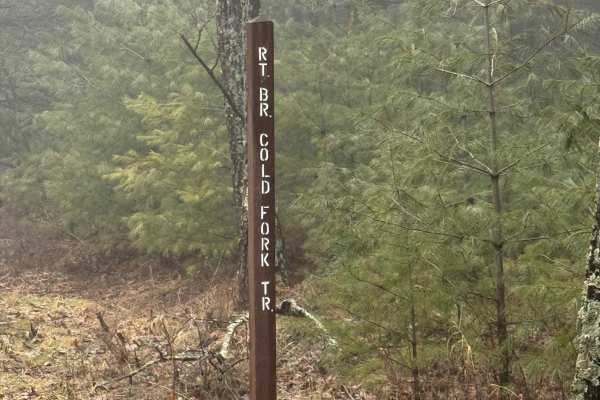 Right Branch Cold Fork Trail