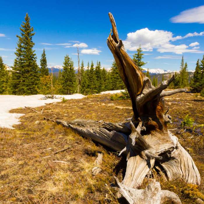 Near Lake Nanita Trail