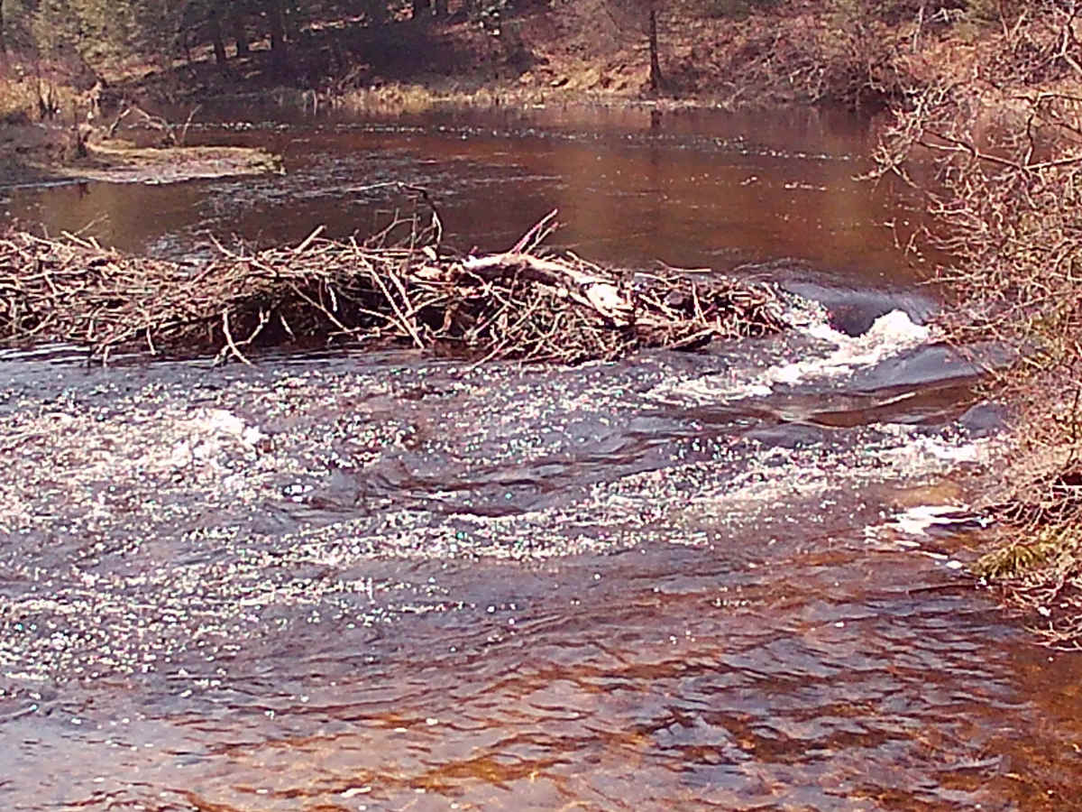 Huckleberry Road photo 3