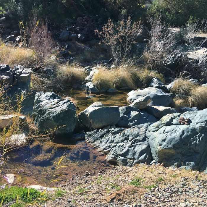 Near Cave Creek Trail #4