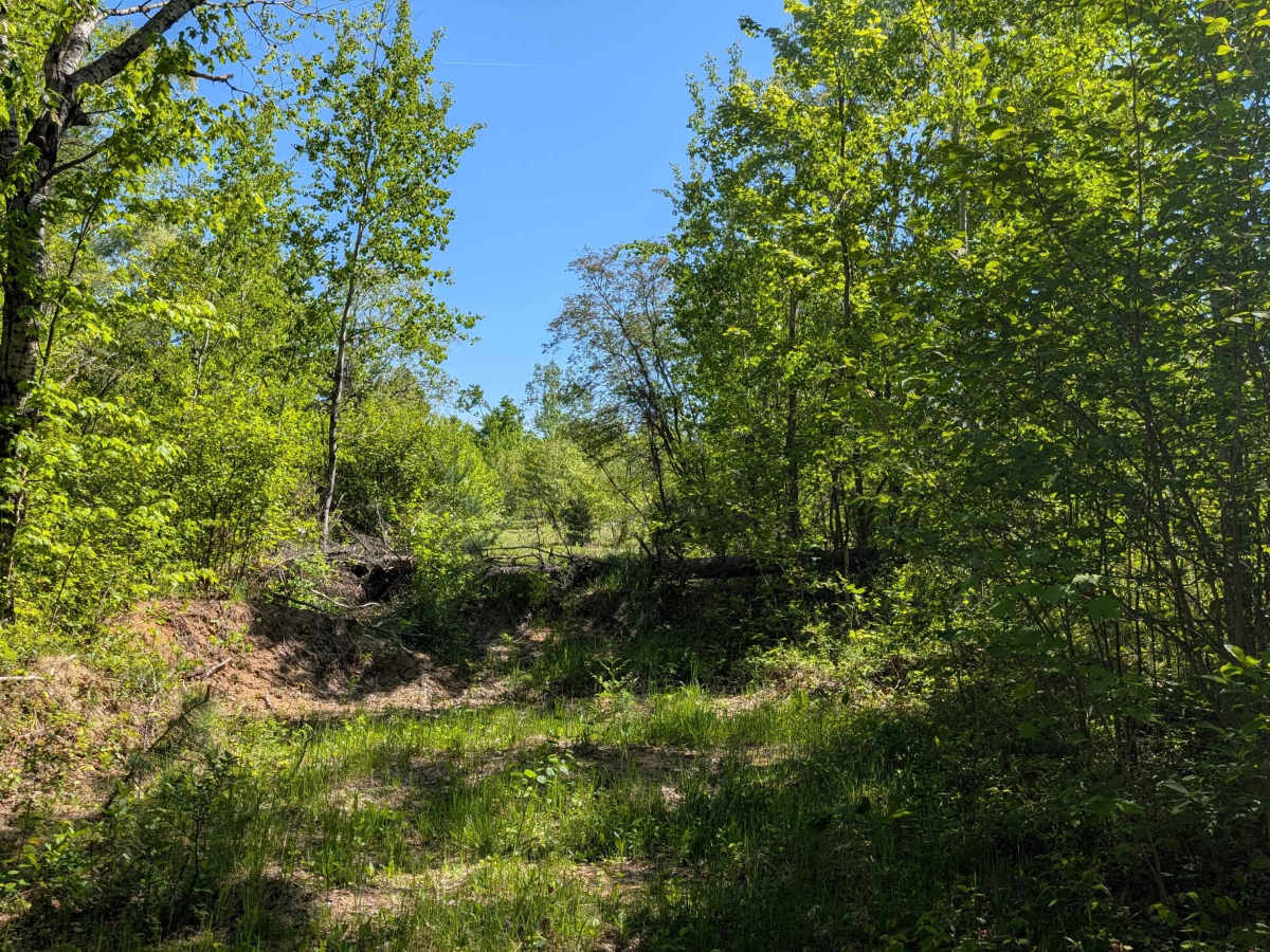 Kniss Road Southeast photo 2