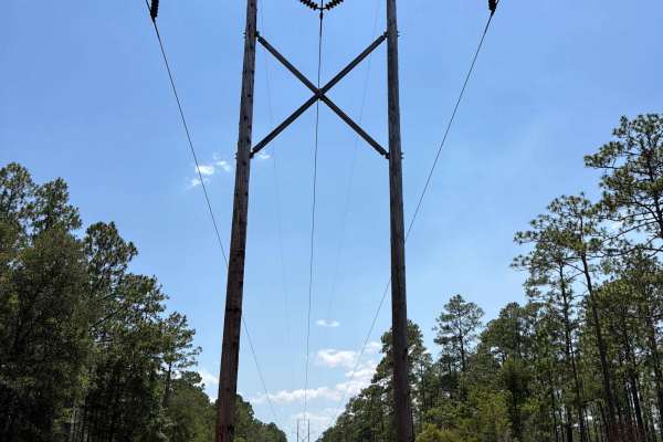 Powerline - FS 365J
