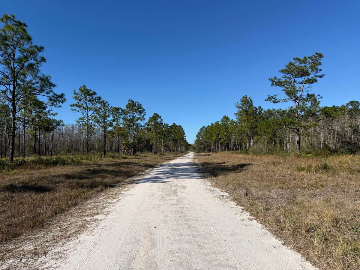 Tillman Lake Road photo 3