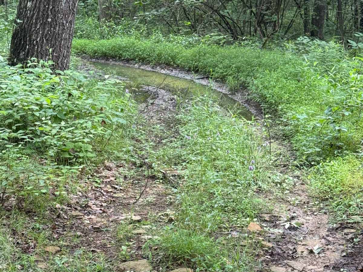 Trail 16 photo 3