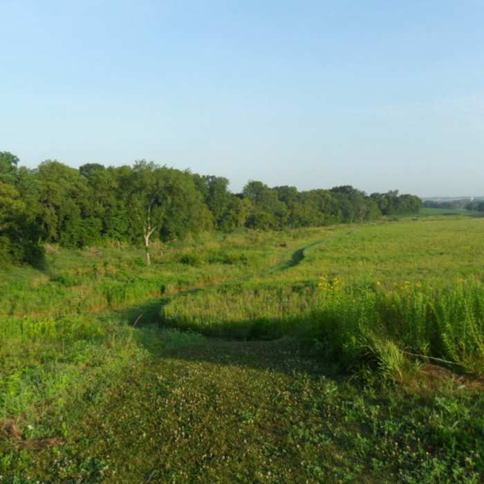 Near Wapello Loop Trail