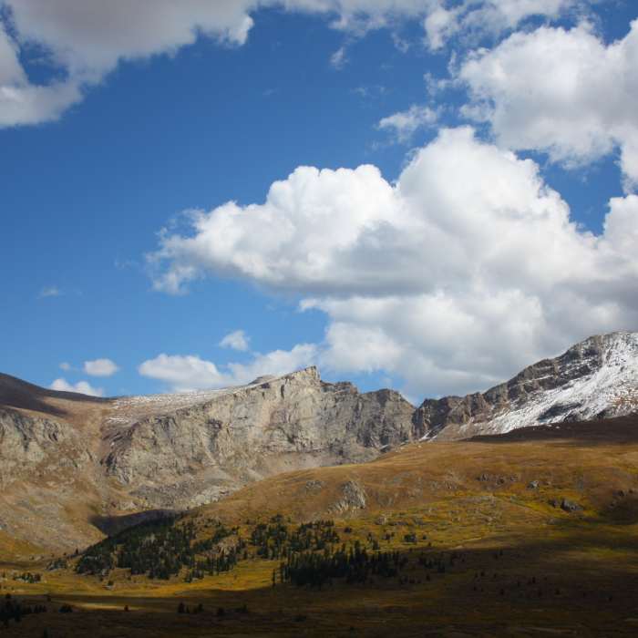 Near South Park Trail #600