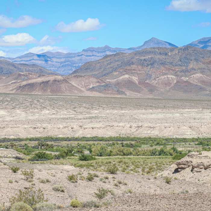 Near Shoshone Historic Loop Trail