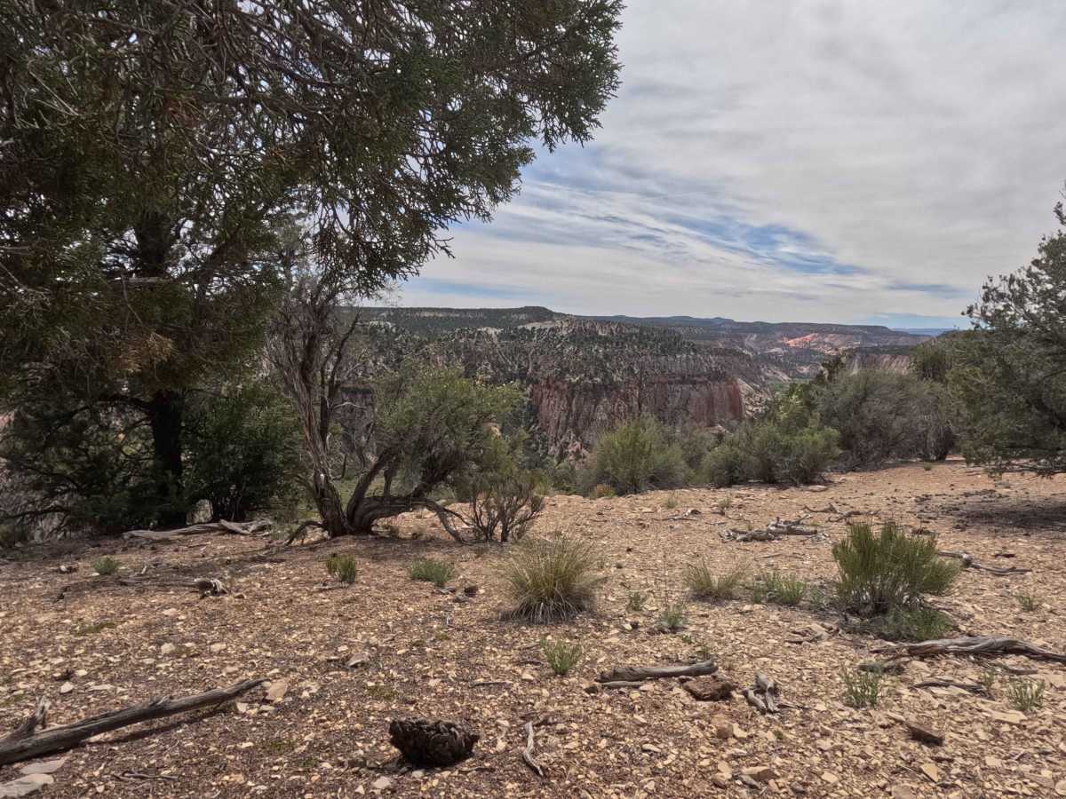 East Side - BLM 74 photo 3