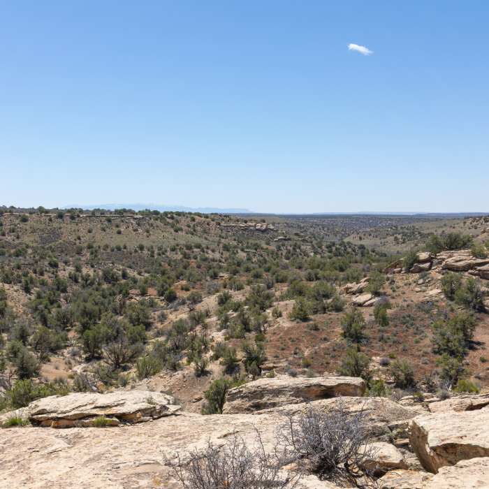Keeley Canyon Near Holly Trail