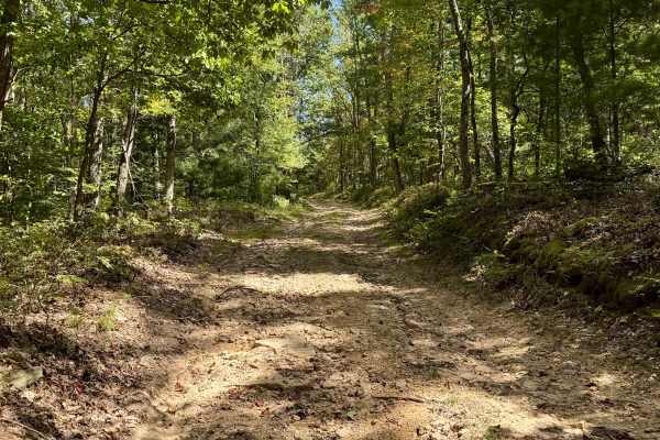West Pittman Road