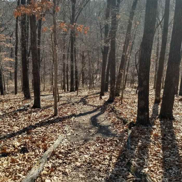 Headed downhill at beginning of trail Near Turtle Bob's Trail