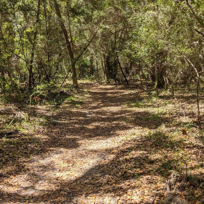 Near Guana Tolomato Matanzas 9-Miler