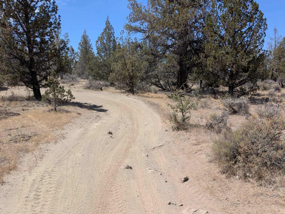 Cline Buttes OHV Trail 27 North photo 5
