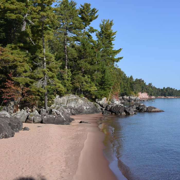 Near Wetmore Shoreline Trail Near Wetmore Shoreline Trail