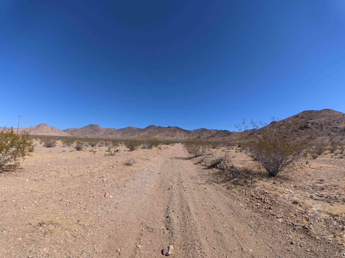 BLM 0M6602 photo 2