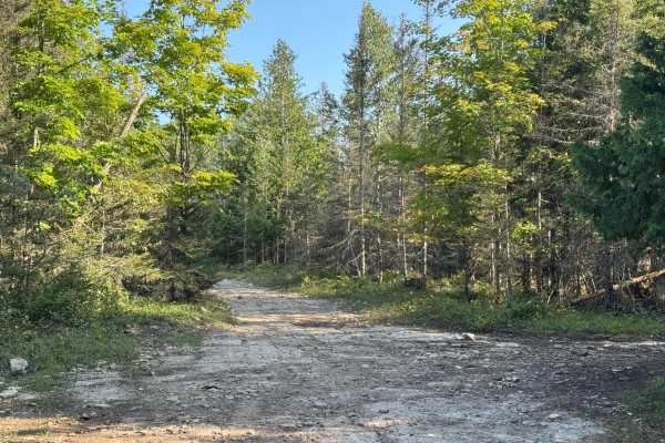 Island Isolation Trail