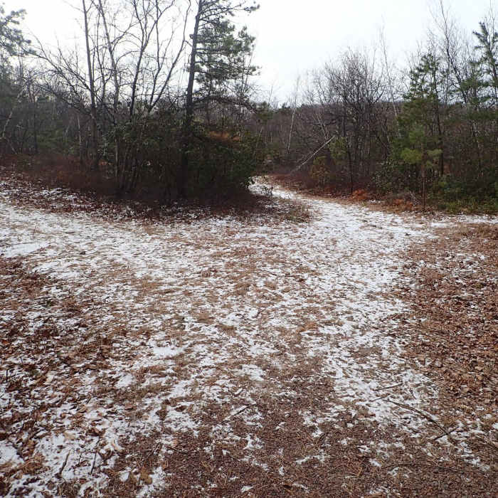 Near North/South Loop Near North/South Loop