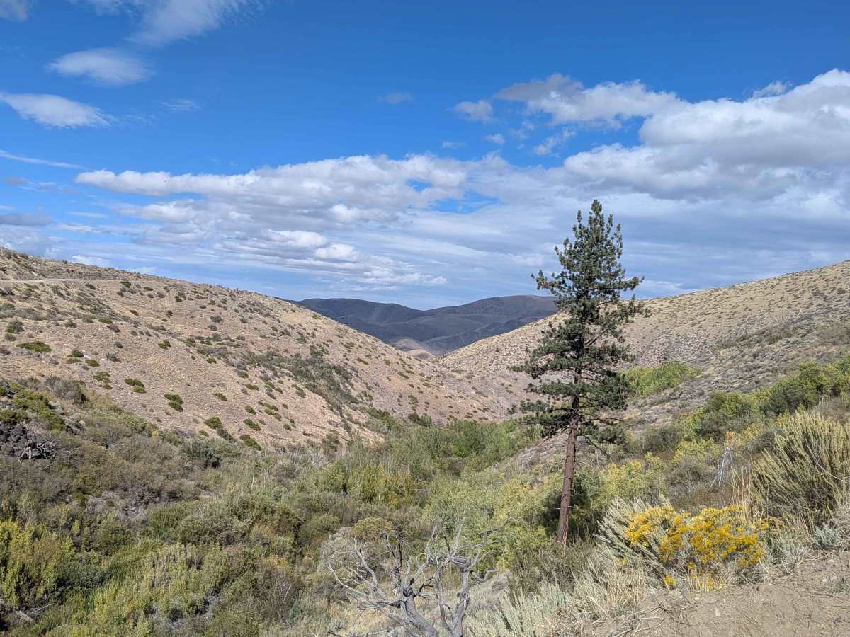 Mill Canyon Road photo 5