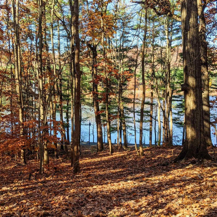 Near Orange Reservoir Loop