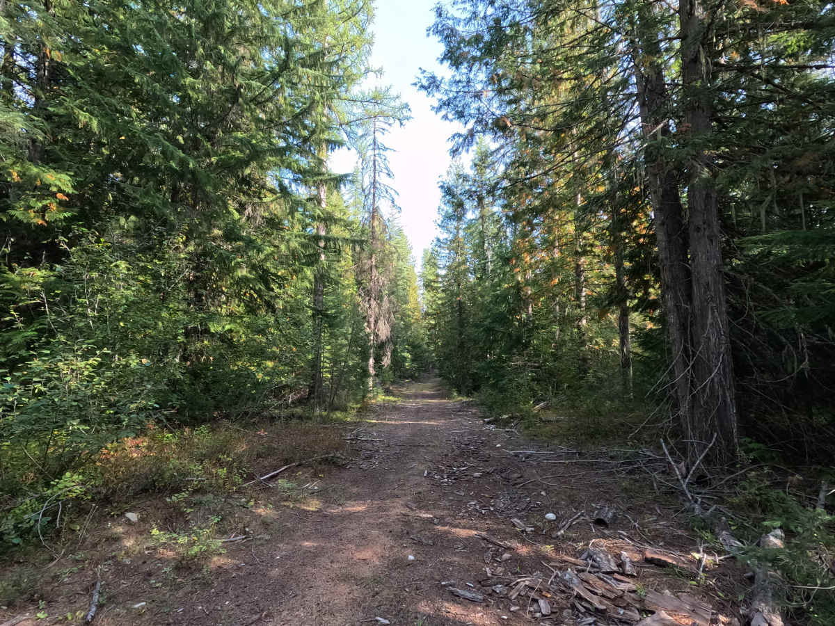 FS 3140456 photo 6
