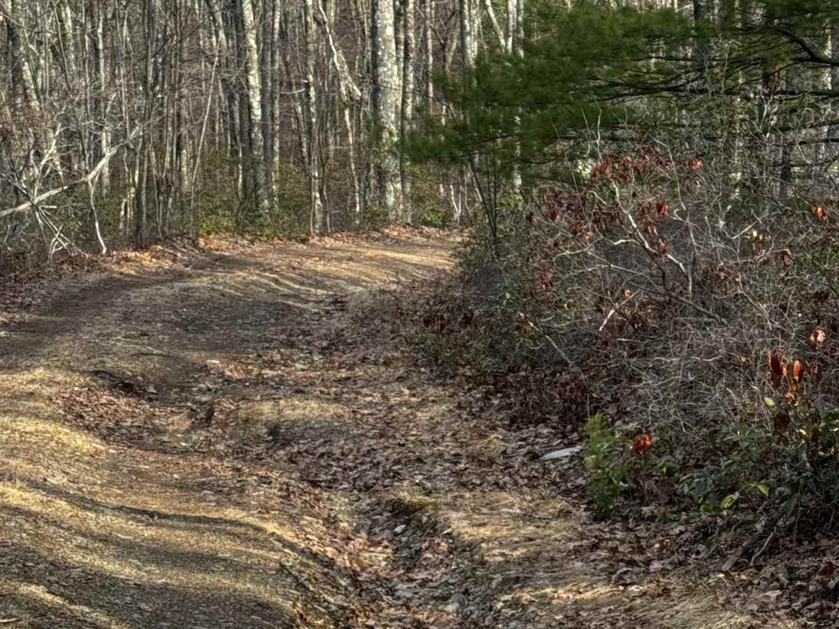 Caldwell Ridge photo 6