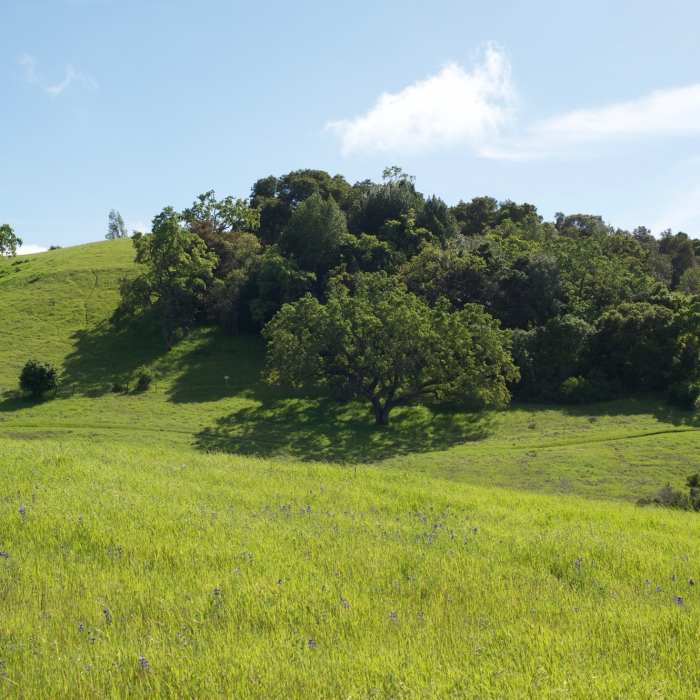 Near Vista Point Trail