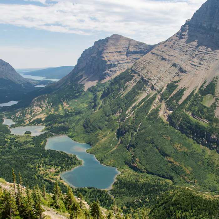 Near Swiftcurrent Pass Trail