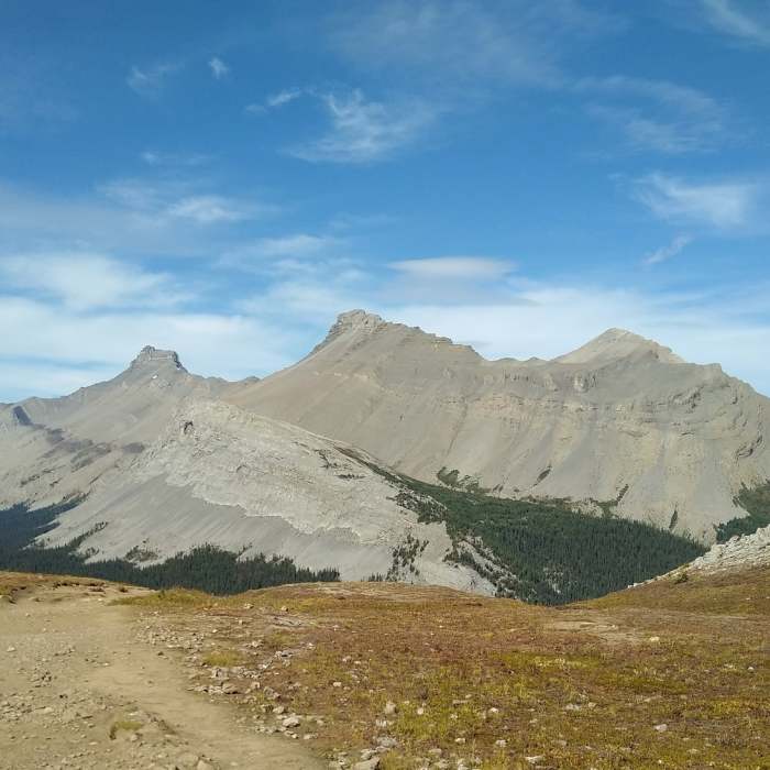 Nigel Peak, to the northwest, from Parker Ridge Trail. Near Parker Ridge Trail
