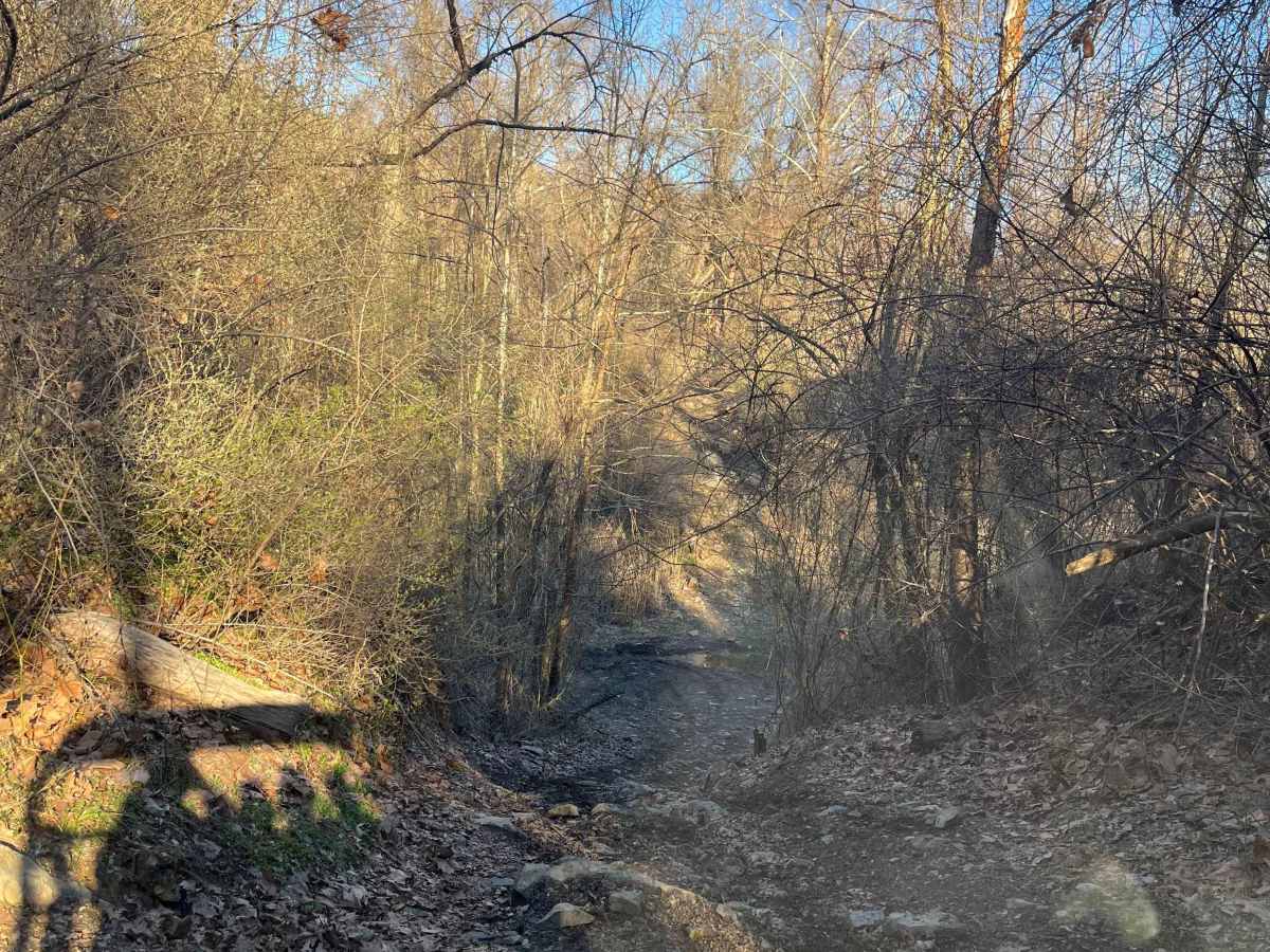South Boundary Trail photo 3