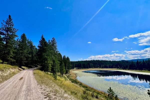 Wapiti Lake via Shelbourn