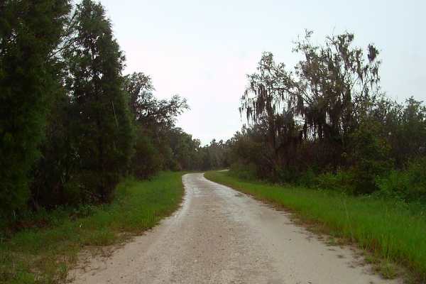 Tenoroc Mine Road