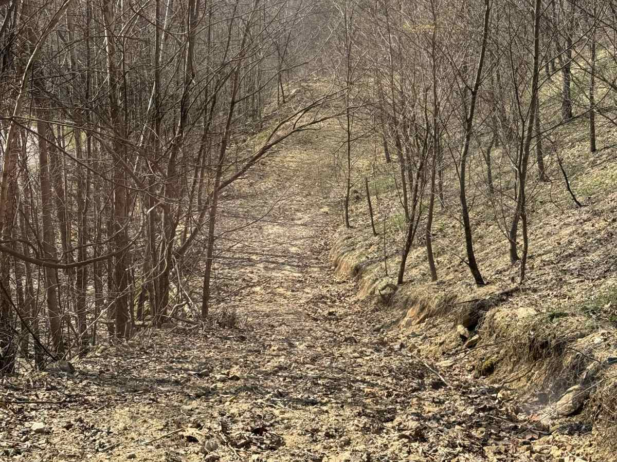 Q22 photo 4