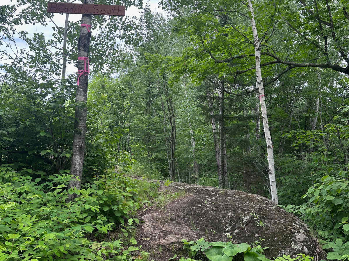 Piccadilly Circus South trail photo