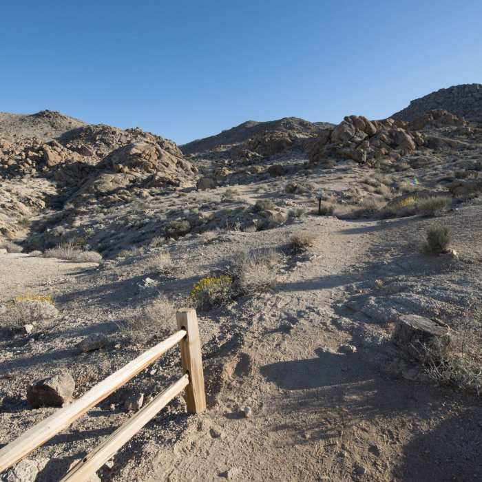 Near Fortynine Palms Oasis Trail