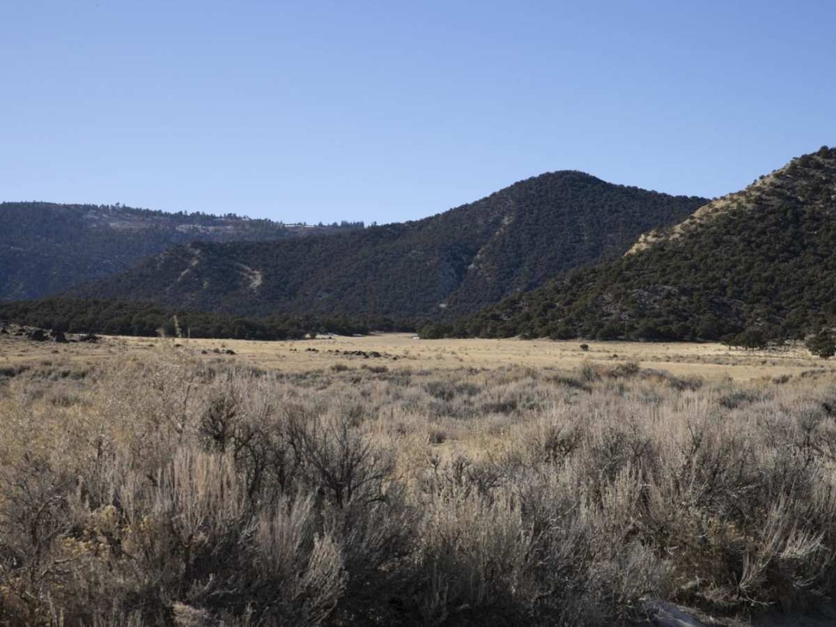 Jim's Farm Road trail photo