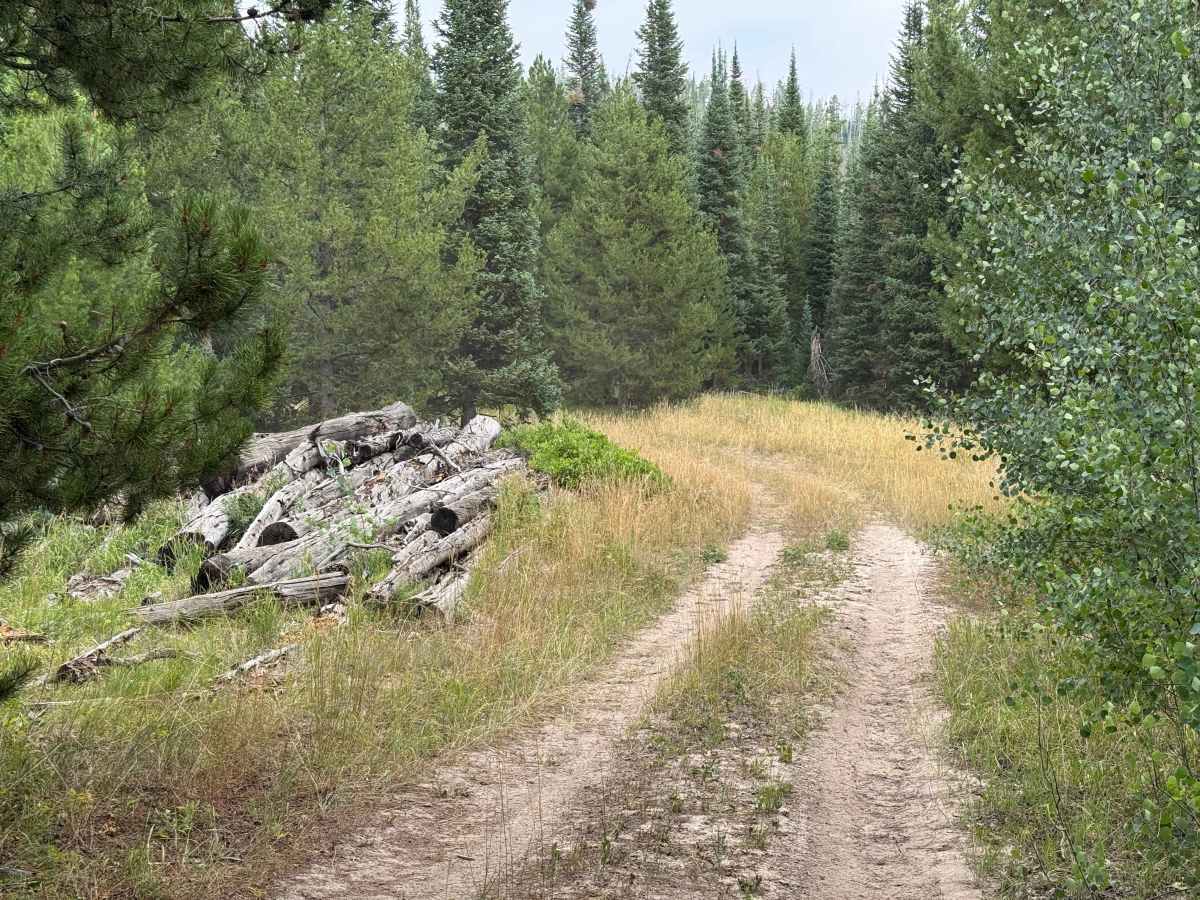 Mill Creek Road - FS 469 photo 3