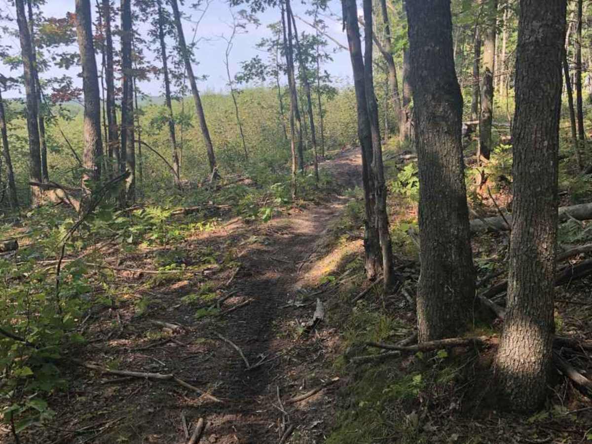 East Missaukee Trail Loop photo 3