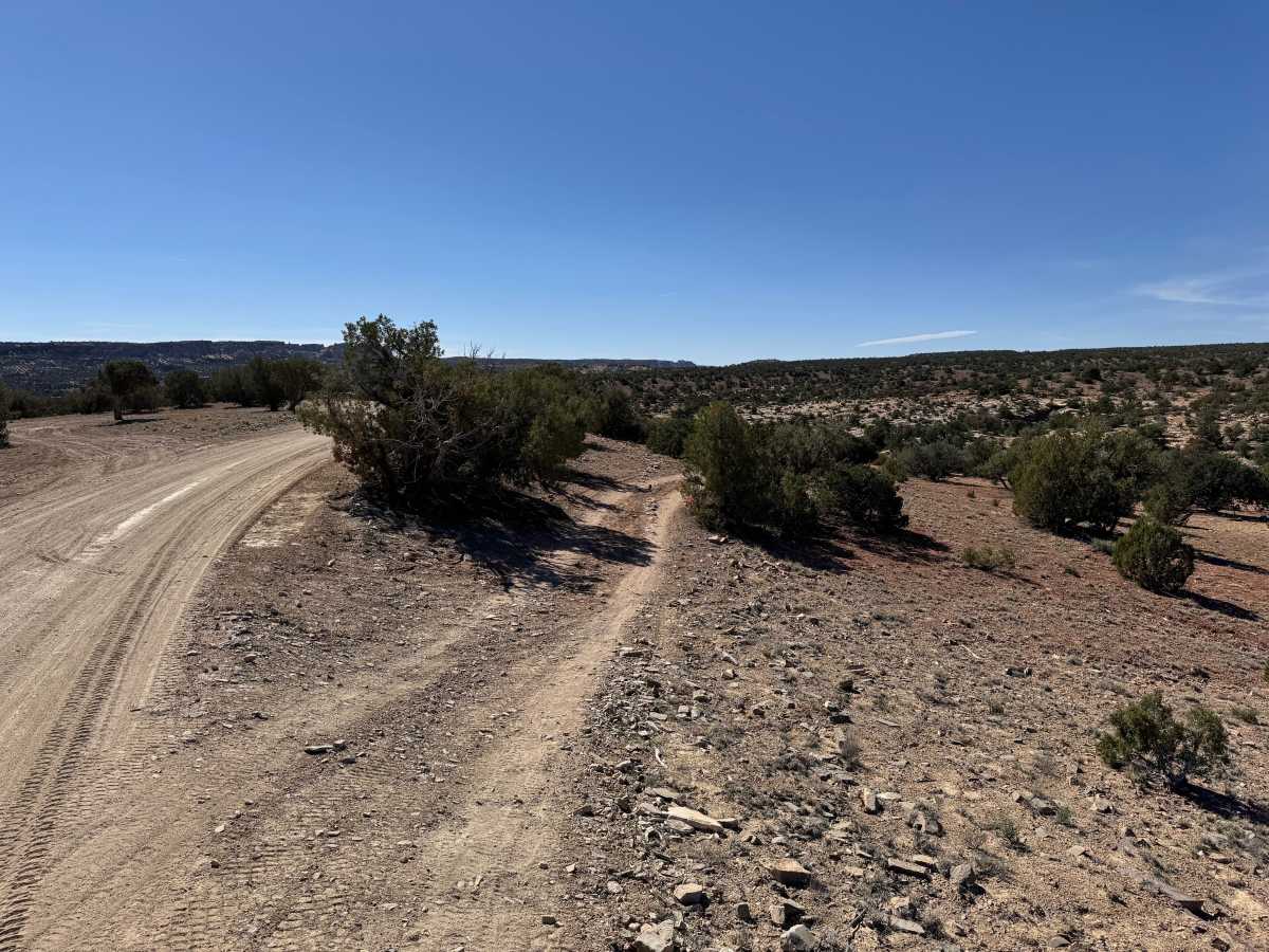 Box Flat trail photo