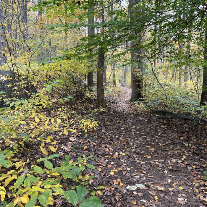 Near Mt. Gretna Loop