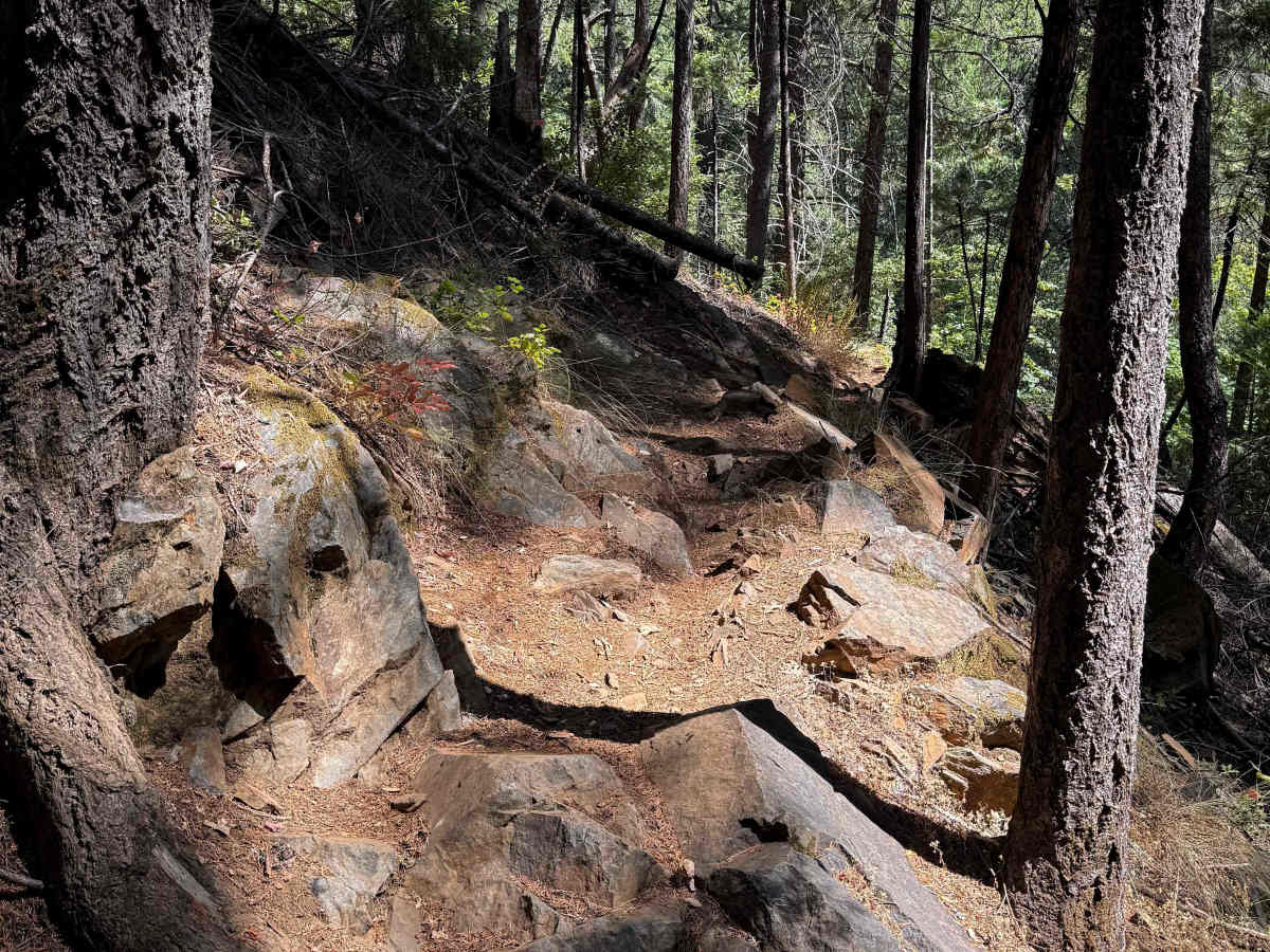 Trail 6 (12E50)   trail photo